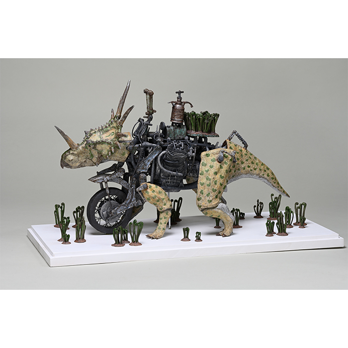 前葉体栽培装置