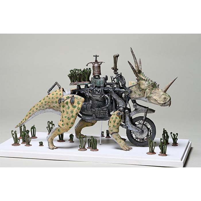 前葉体栽培装置