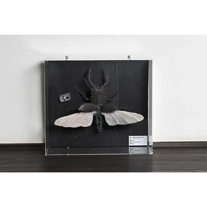 鋸鍬型再製式飛行装置