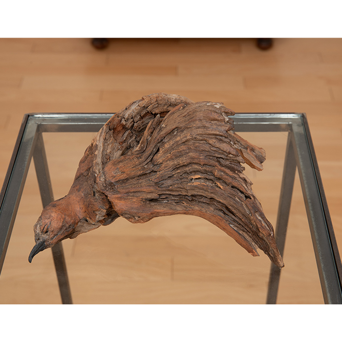 流木の鳥の亡骸