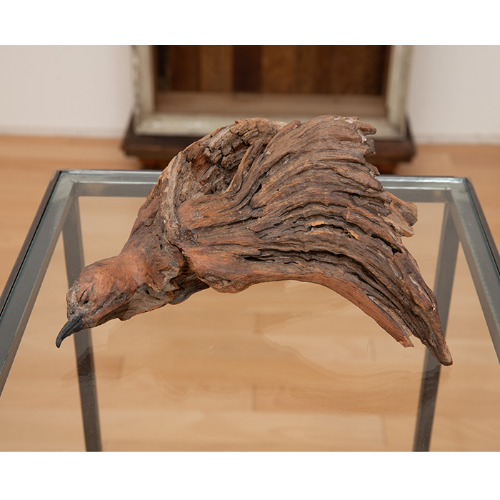 流木の鳥の亡骸