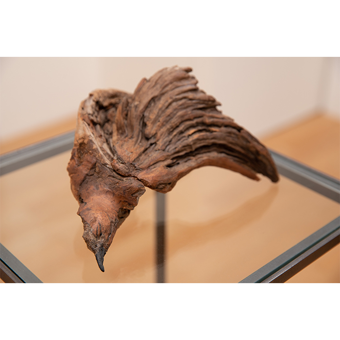 流木の鳥の亡骸