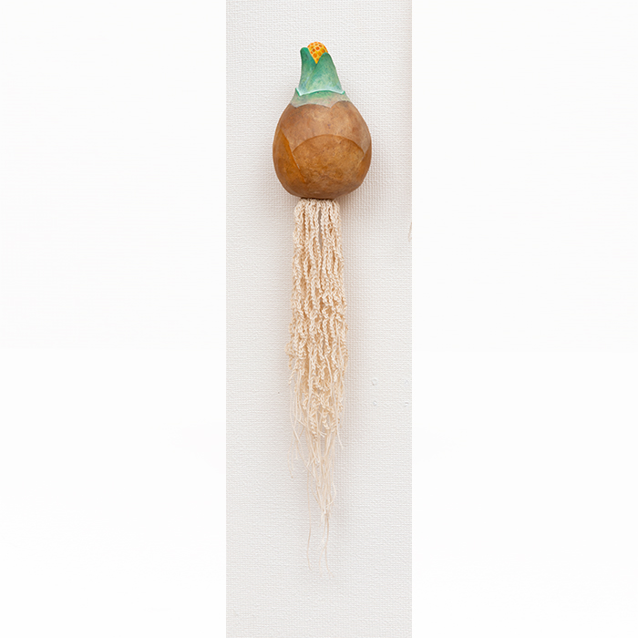 球根から根が生えて（中）