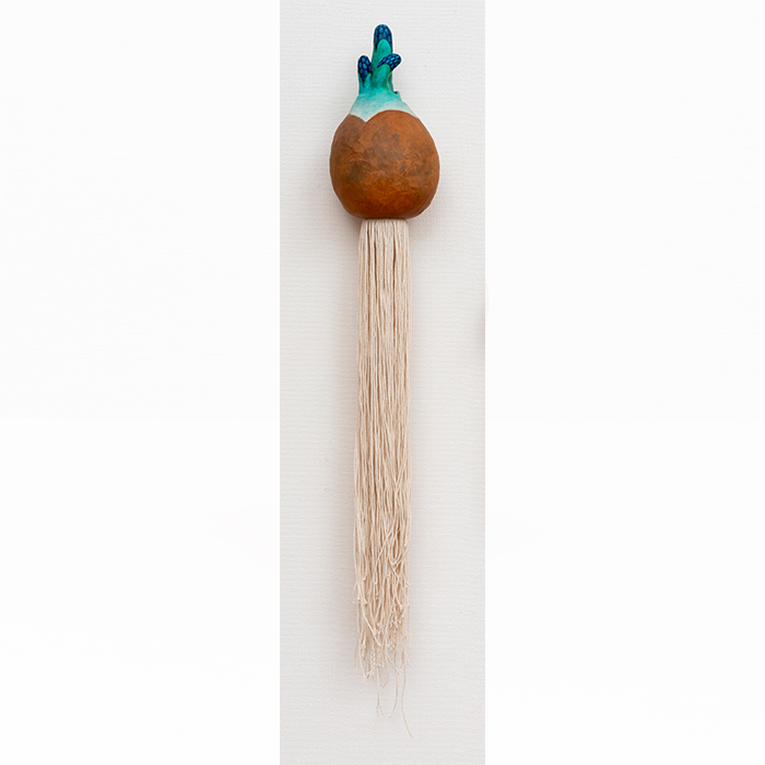 球根から根が生えて（大）