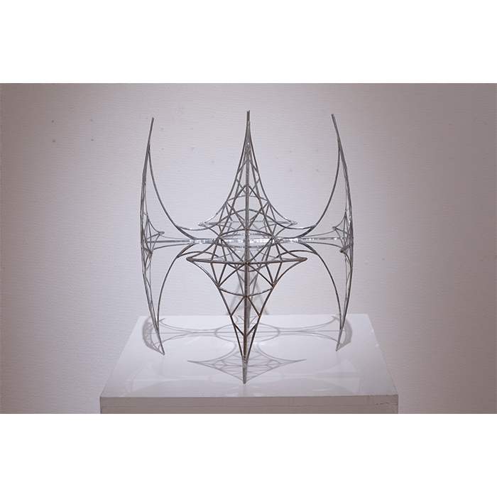 ヴェイナクサ Veinaxa