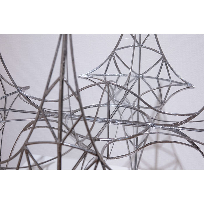 ヴェイナクサ Veinaxa