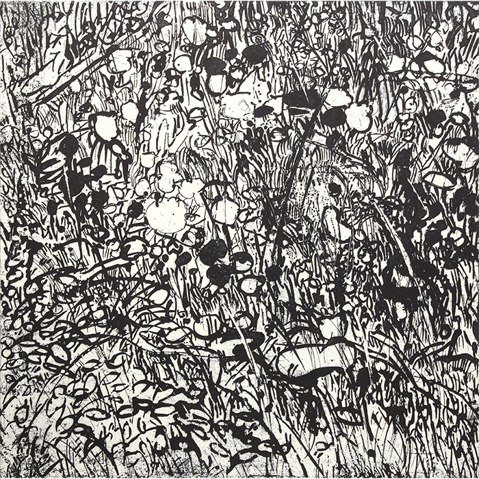 Vacant lot#3