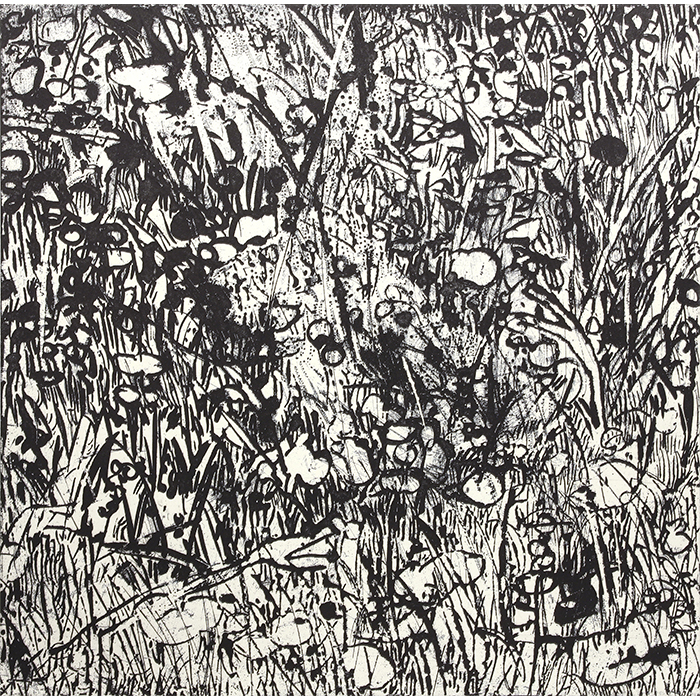 Vacant lot#4