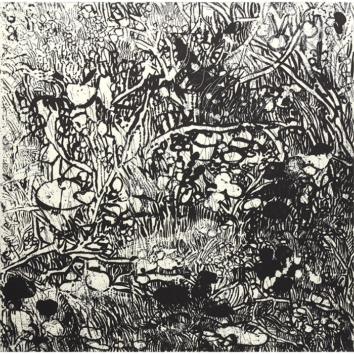 Vacant lot#5