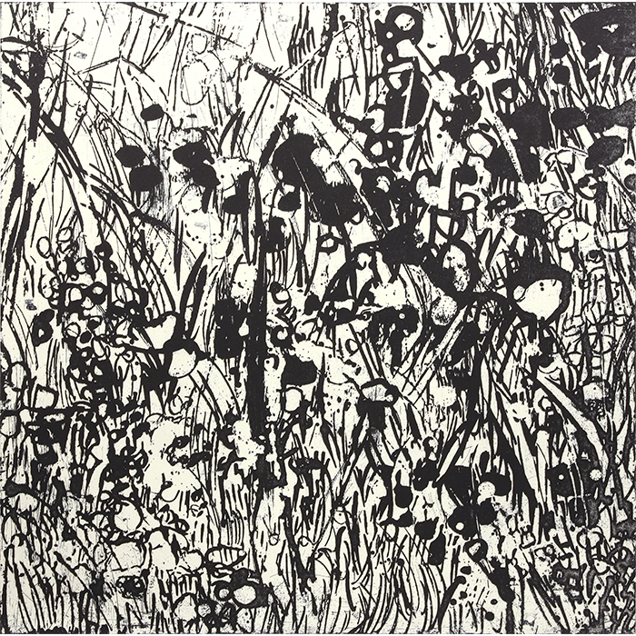 Vacant lot#12