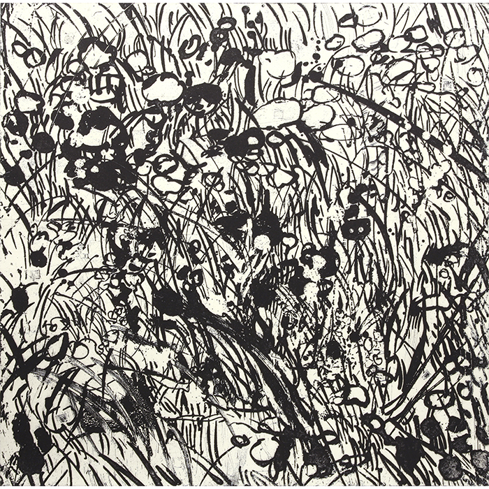 Vacant lot#13