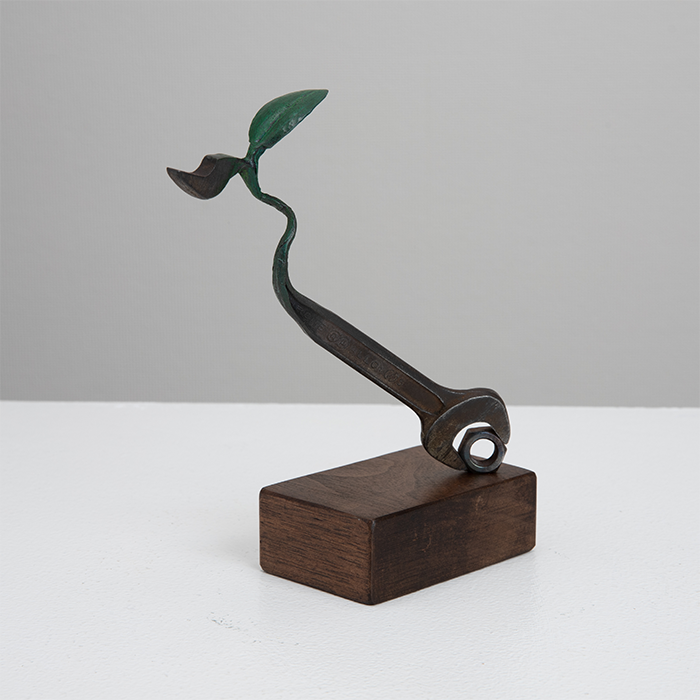 50. Tool Plants/spanner